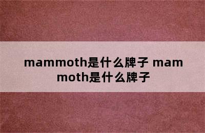 mammoth是什么牌子 mammoth是什么牌子